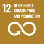 SDG 12